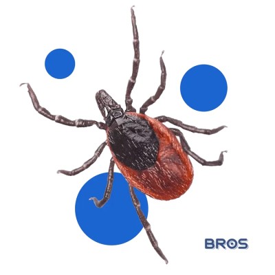 Bros Max środek odstraszający komary i kleszcze w sprayu 90ml