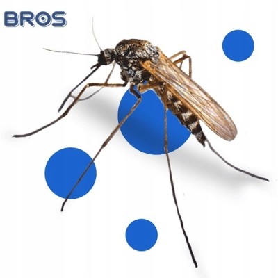 Bros Zielona Moc środek odstraszający komary i kleszcze w sprayu 90ml