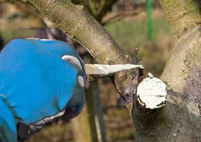 Bros Koro Derma maść ogrodnicza zabezpieczająca do drzew i krzewów 1kg