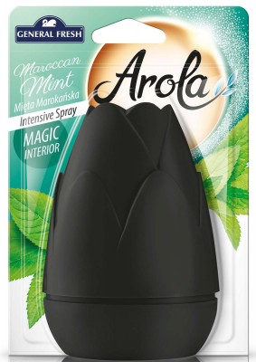Arola, General Fresh Magiczna Szyszka, Marokańska Mięta, odświeżacz powietrza, urządzenie, 1 sztuka