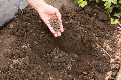 Bopon Natural Koński obornik granulowany BiOPON 5L