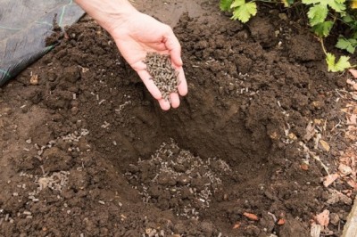 Bopon Natural Kurzy obornik granulowany do warzyw BiOPON 5L