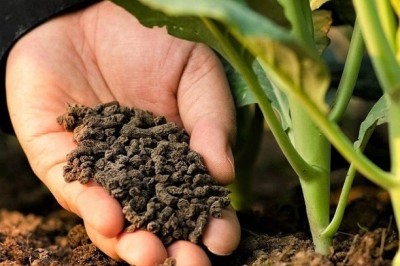 Bopon Natural Kurzy obornik granulowany do warzyw BiOPON 5L