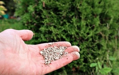 Bopon nawóz granulowany do tui i cyprysów BiOPON 3kg