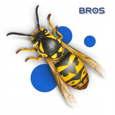 Bros Gaśnica preparat przeznaczony do zwalczania os i szerszeni spray 600ml
