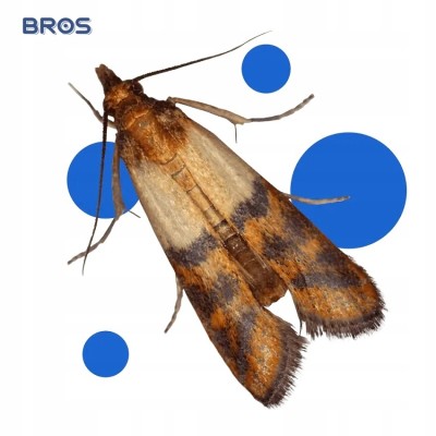 Bros Zielona Moc płyn na mole spożywcze 500ml