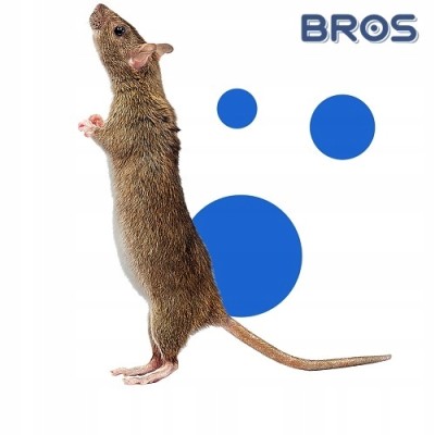 Bros kostki na myszy i szczury z zasuszonej trutki 1kg
