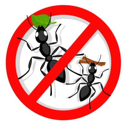 Expel proszek na mrówki 700g