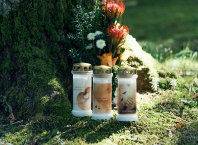 Bolsius Miś znicz z metalowym deklem 12 sztuk