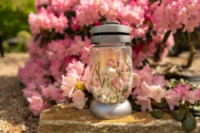 Bolsius Magnolia lampion 3s 15 znicz 6 sztuk