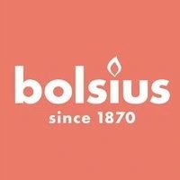Bolsius lampion Maryja 3s 02 znicz 6 sztuk