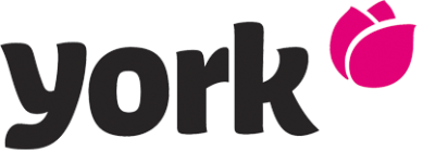 York ECO EGO miotła U-COLLECT z trzonkiem teleskopowym 137 cm 1 sztuka