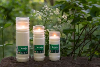 Bolsius wkład parafinowy do zniczy RP8 zgrzewka 12 sztuk (170h)