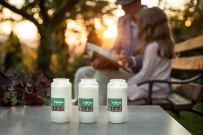 Bolsius wkład olejowy RC6 zgrzewka 20 sztuk (110h)