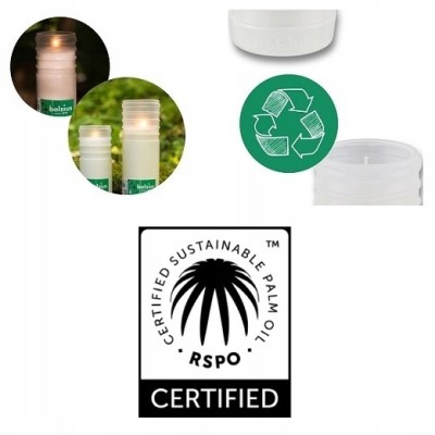 Bolsius wkład olejowy RC3 zgrzewka 20 sztuk (50h)