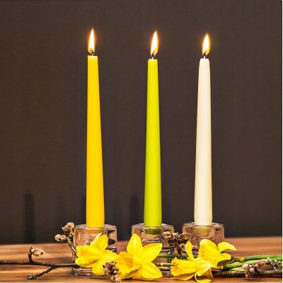 Bolsius Jasno Zielona świeca stołowa szpica 245/24mm - 12 sztuk