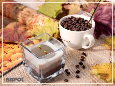 Bispol Aura snk80-374 CYNAMON - GOŹDZIKI trójkolorowa świeca zapachowa w szkle - 32H