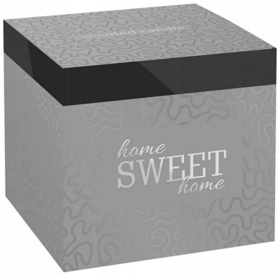 Bispol sn100m-316 HOME SWEET HOME świeca zapachowa w matowym szkle z dwoma knotami