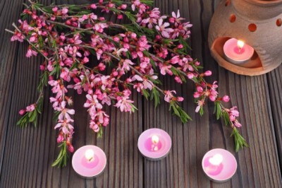 PODGRZEWACZE świeczki zapachowe Bispol p15-272 Aura ORIENTALNA NOC - 6 sztuk