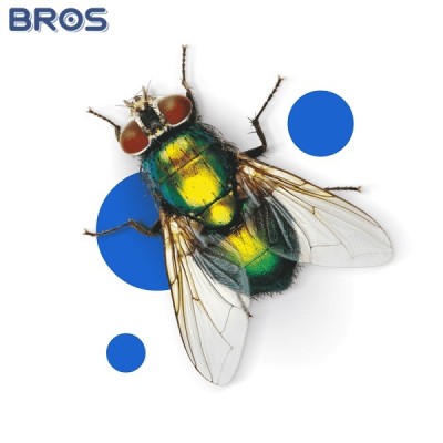 Bros spray do śmietników 400ml zapas