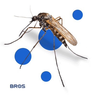 Bros Amaris spray łagodzący ukąszenia 9ml