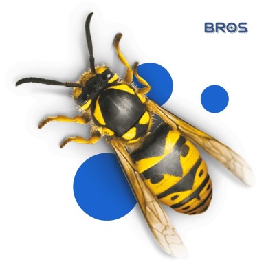 Bros Amaris roll-on dla dzieci łagodzący ukąszenia owadów 15ml