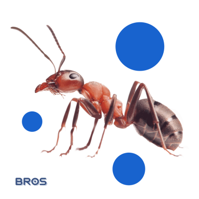 Bros Amaris roll-on dla dzieci łagodzący ukąszenia owadów 15ml