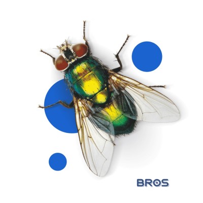 Bros Supercyp 6WP preparat do oprysku na muchy i komary 25g