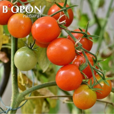 Bopon Natural nawóz 100% organiczny do pomidorów BiOPON 1kg