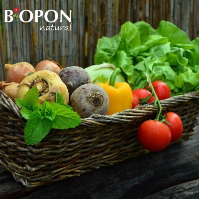 Bopon Natural nawóz 100% organiczny do warzyw BiOPON 1kg