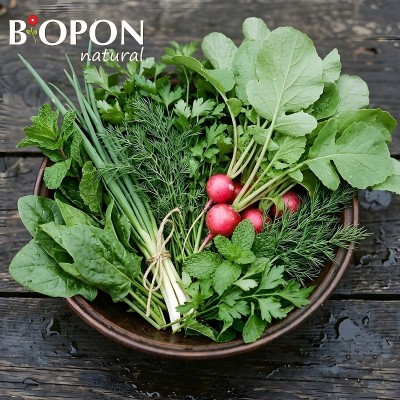 Bopon Natural nawóz 100% organiczny do warzyw BiOPON 1kg
