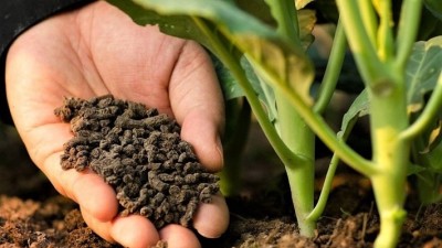 Bopon Natural Kurzy obornik granulowany do ogrodu BiOPON 20L