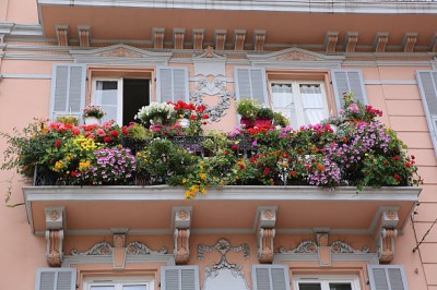 Bopon granulowany nawóz do pelargonii i innych roślin balkonowych BiOPON 500g