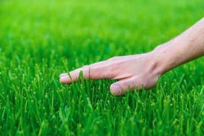 Bopon nawóz w płynie na okres suszy do trawników BiOPON 1l